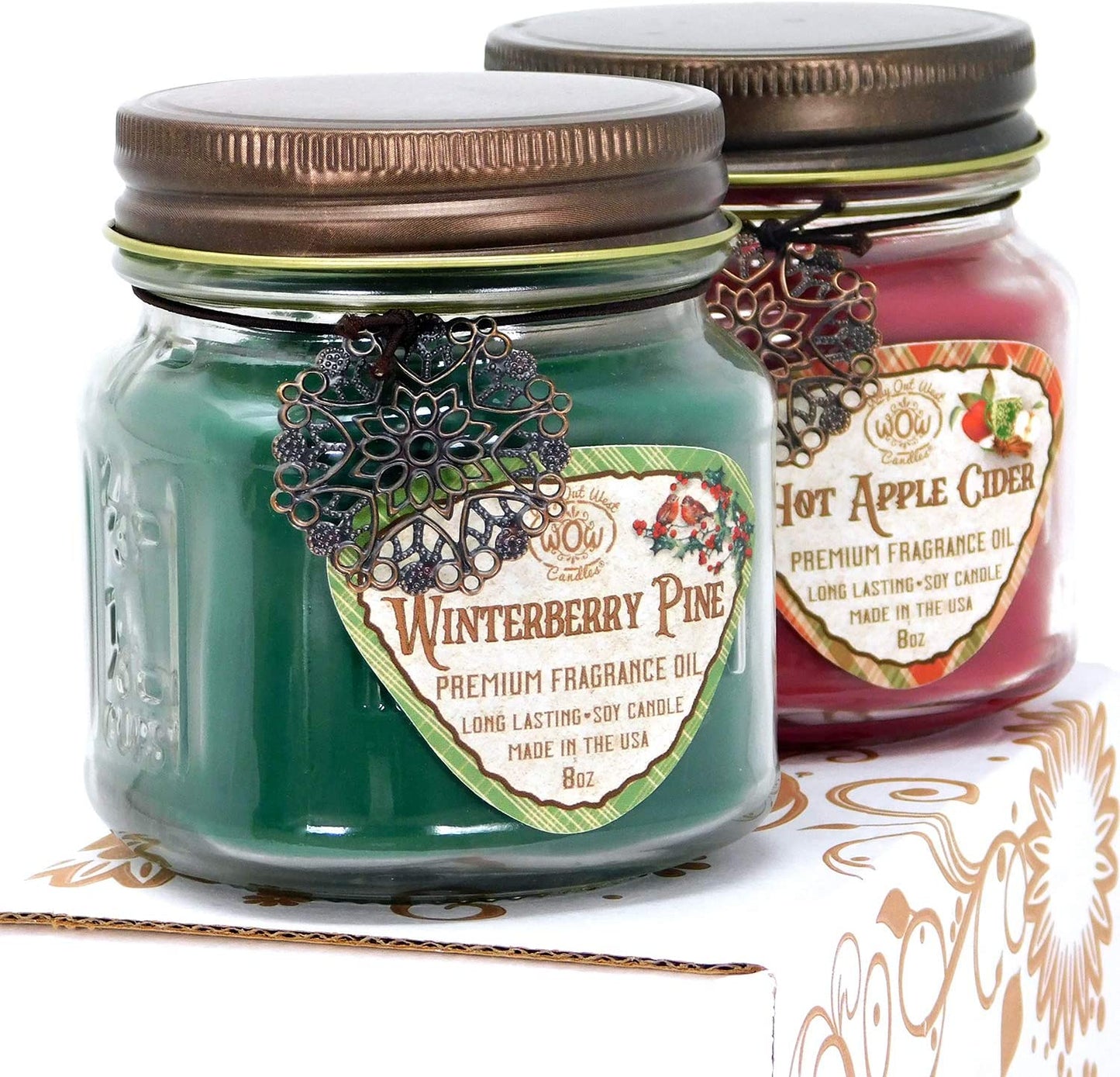 Scented Candles (2-Pack) with Hot Apple Cider and Winterberry Pine - Jar Candles Gift Sets - Great Winter and Holiday Candles- Natural Soy Wax with Premium Fragrance Oil - Made in USA -