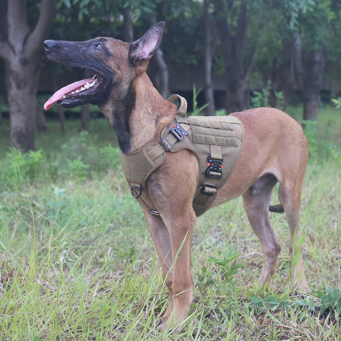 Tactical Dog Harness with 4X Metal Buckle, Dog MOLLE Vest with Handle, No Pulling Front Clip ,Hook and Loop Panel for Dog Custom Patch (L (28"-35" Girth), Coyote Brown)