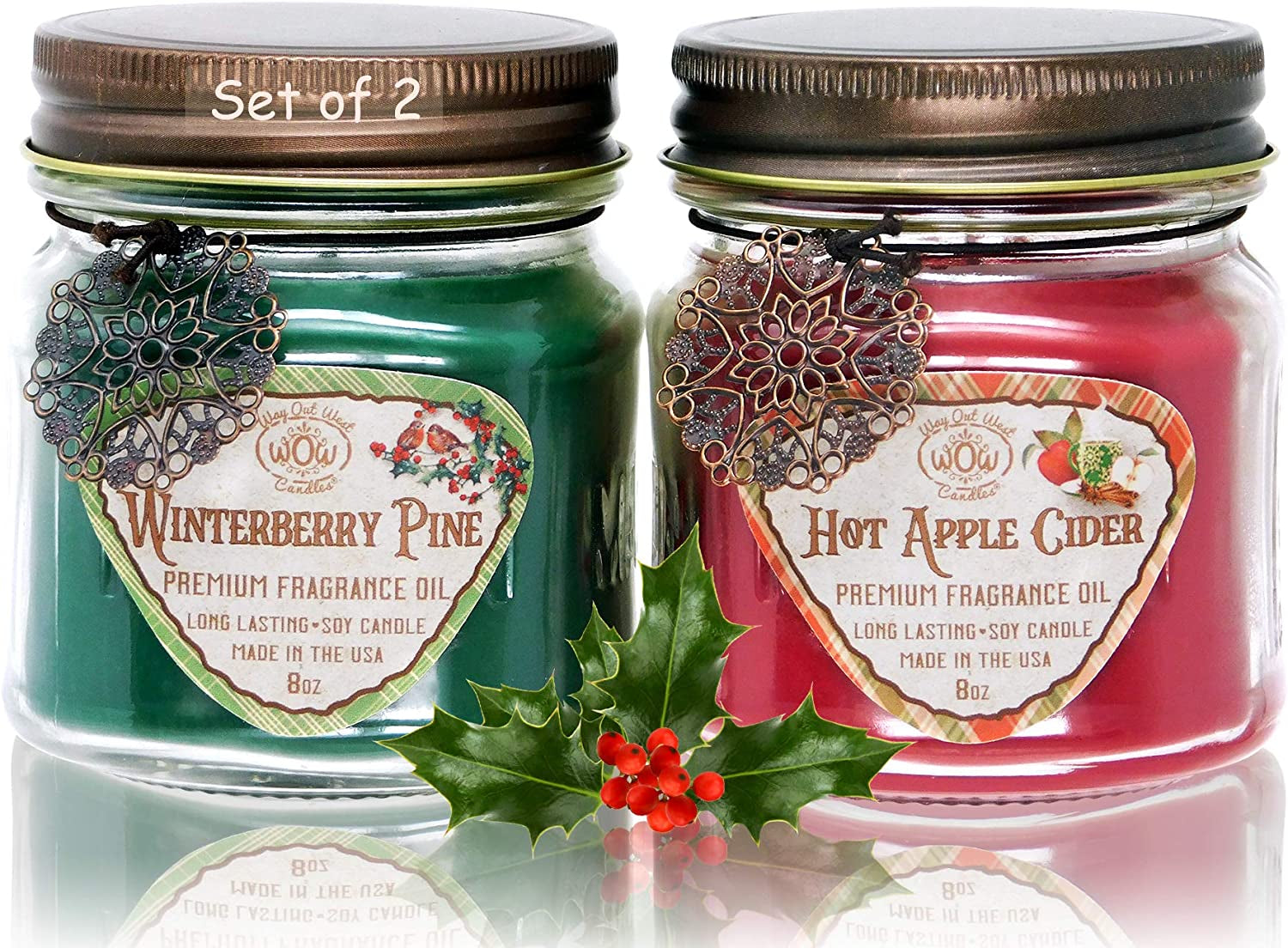 Scented Candles (2-Pack) with Hot Apple Cider and Winterberry Pine - Jar Candles Gift Sets - Great Winter and Holiday Candles- Natural Soy Wax with Premium Fragrance Oil - Made in USA -